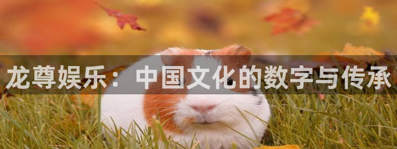 多多28平台电子游戏：龙尊娱乐：中国文化的数字与传承