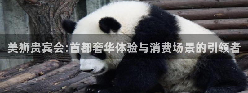 多多28游戏产品：美狮贵宾会:首都奢华体验与消费场景的引领者