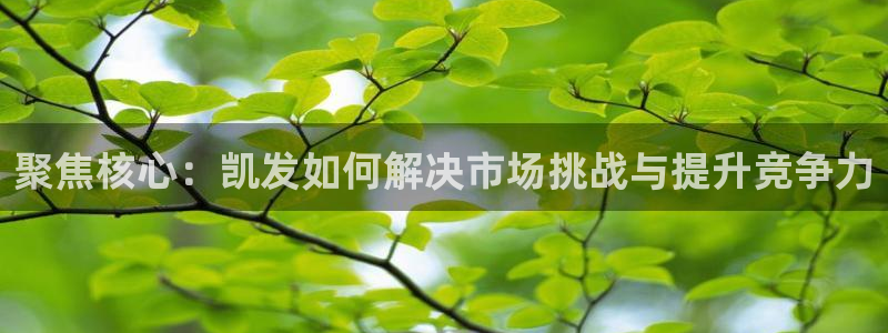 多多28官网下载：聚焦核心：凯发如何解决市场挑战与提升竞争力