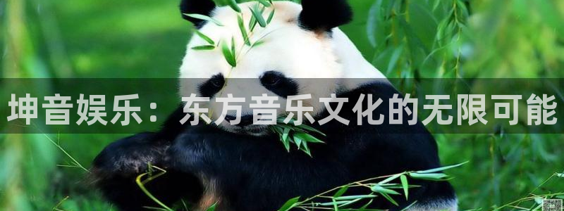 多多28下载官网：坤音娱乐：东方音乐文化的无限可能