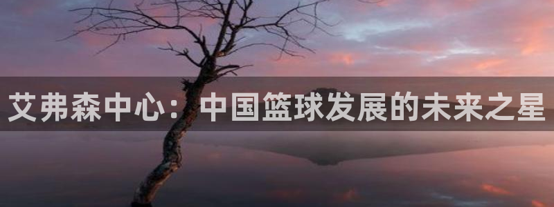 多多28游戏下载入口：艾弗森中心：中国篮球发展的未来之星