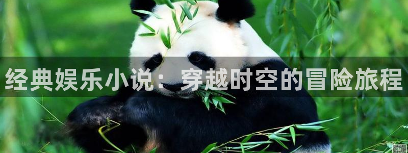 多多28平台下载