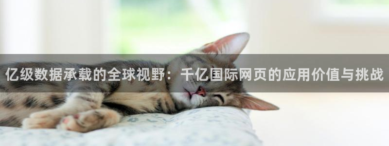 多多28浏览器：亿级数据承载的全球视野：千亿国际网页的应用价值与挑战