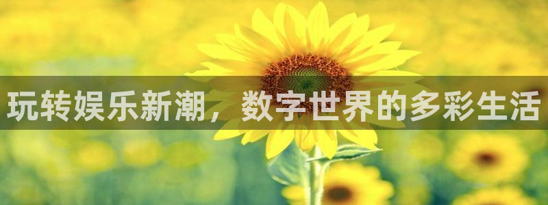 多多28网址：玩转娱乐新潮，数字世界的多彩生活
