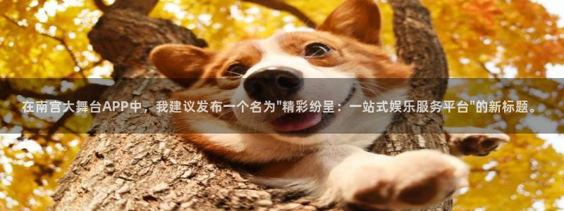 pg电子多多28下载