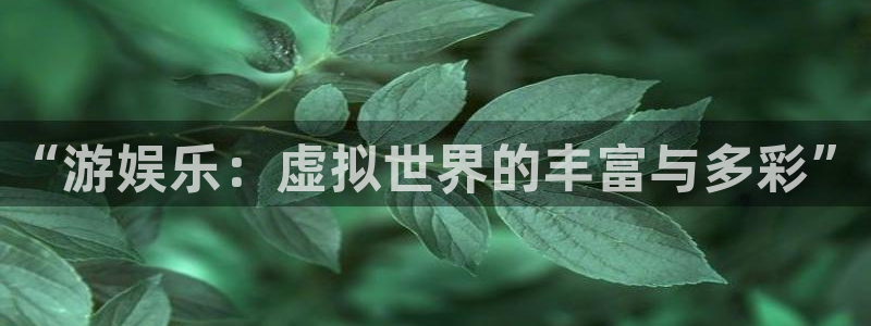 多多28pg娱乐电子游戏：“游娱乐：虚拟世界的丰富与多彩”