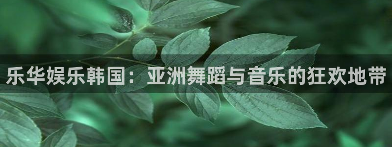 多多28怎么注册账号：乐华娱乐韩国：亚洲舞蹈与音乐的狂欢地带
