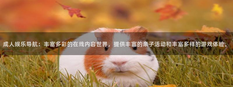 多多28赏金女王下载：成人娱乐导航：丰富多彩的在线内容世界，提供丰富的亲子活动和丰富多样的游戏体验。