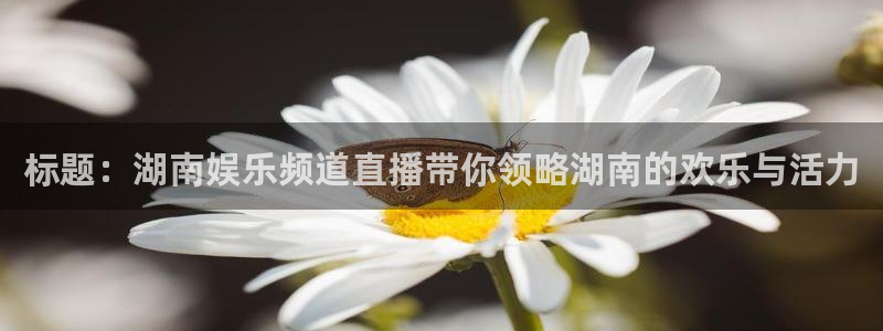 多多28app新版上线体验.游戏更新入口.中国