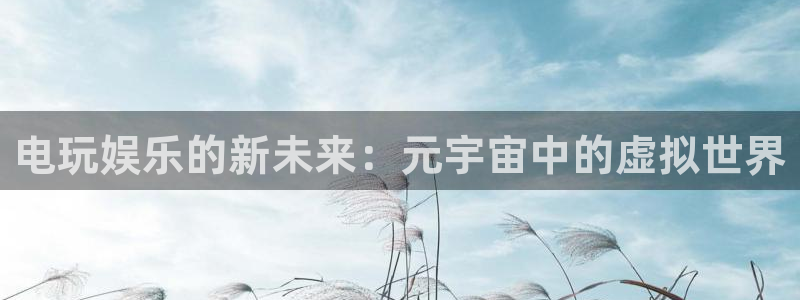 多多28·ccmapp下载：电玩娱乐的新未来：元宇宙中的虚拟世界