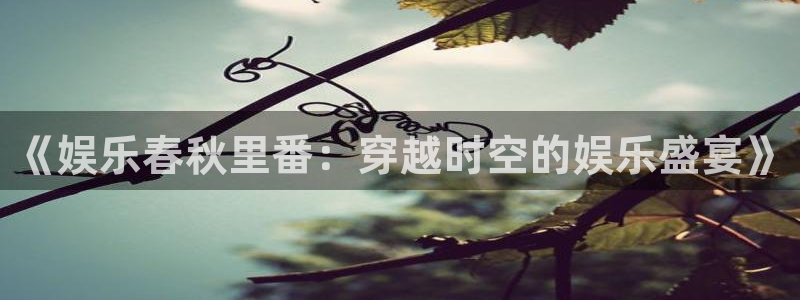 多多28：《娱乐春秋里番：穿越时空的娱乐盛宴》