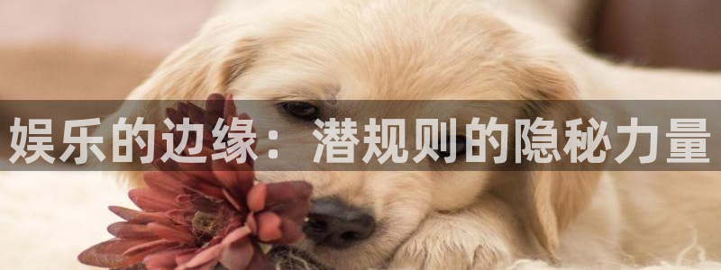 多多28游戏下载入口：娱乐的边缘：潜规则的隐秘力量