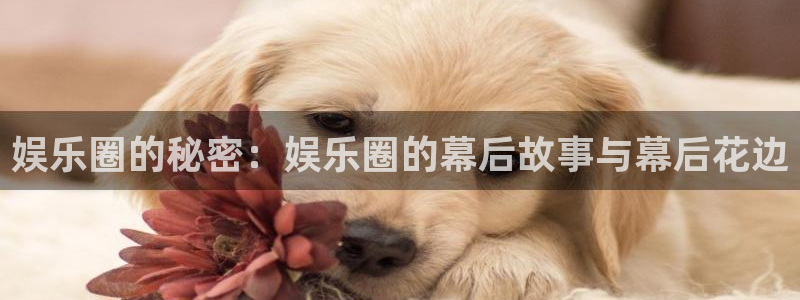 多多28·ccmpc苹果版：娱乐圈的秘密：娱乐圈的幕后故事与幕后花边