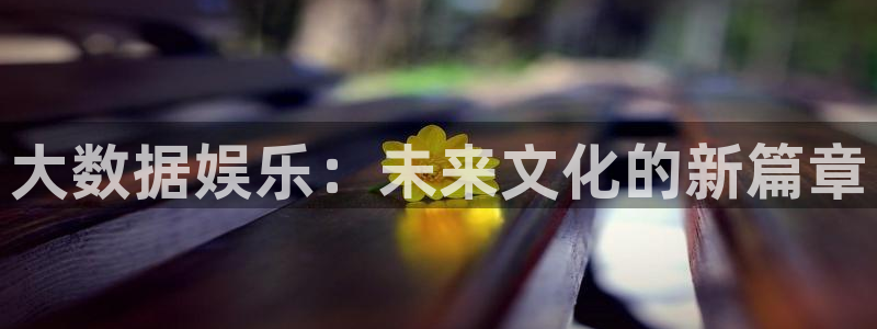 多多28.ccmpc平台下载链接2010：大数据娱乐：未来文化的新篇章