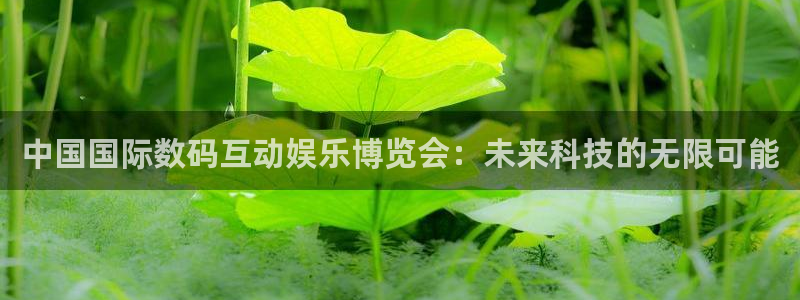 多多28下载安装：中国国际数码互动娱乐博览会：未来科技的无限可能