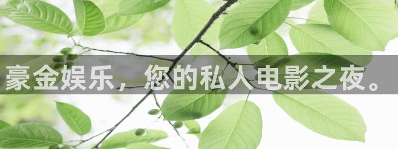 多多28.ccmpc平台下载链接最新版：豪金娱乐，您的私人电影之夜。