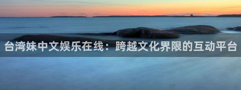 多多28下载安装：台湾妹中文娱乐在线：跨越文化界限的互动平台