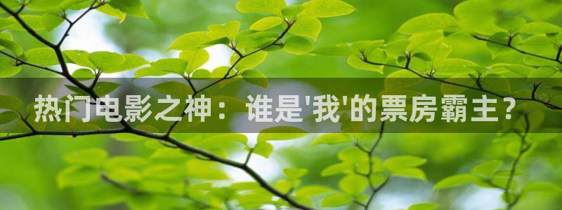 多多28下载：热门电影之神：谁是\'我\'的票房霸主？
