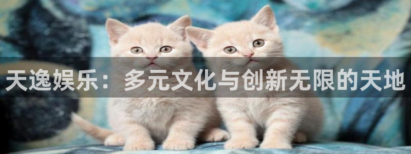 多多28g官网入口下载：天逸娱乐：多元文化与创新无限的天地