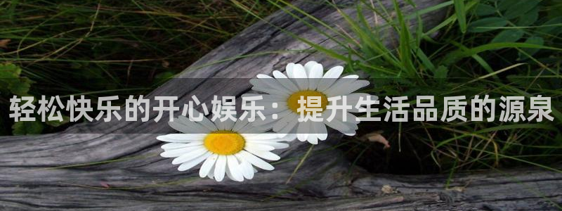 多多28g官网：轻松快乐的开心娱乐：提升生活品质的源泉