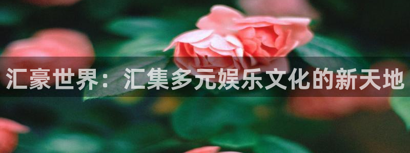 多多28平台：汇豪世界：汇集多元娱乐文化的新天地