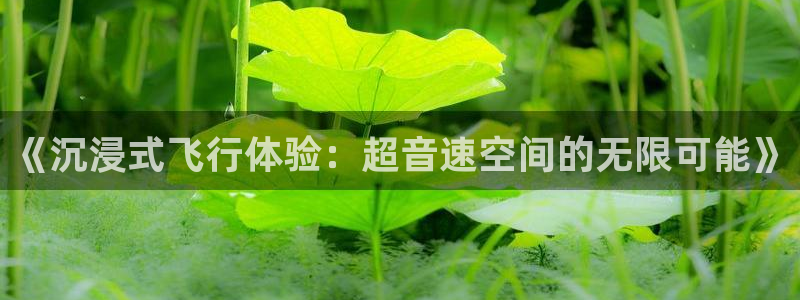 多多28软件的使用教程：《沉浸式飞行体验：超音速空间的无限可能》