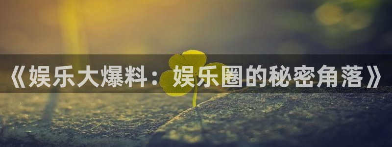 多多28app新版上线体验.游戏更新入口.中国：《娱乐大爆料：娱乐圈的秘密角落》