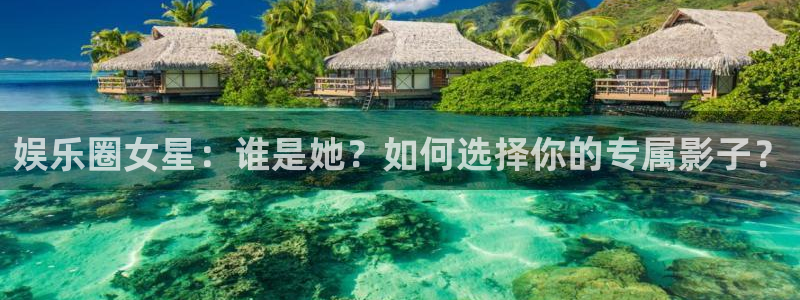 多多28pg官网入口下载：娱乐圈女星：谁是她？如何选择你的专属影子？