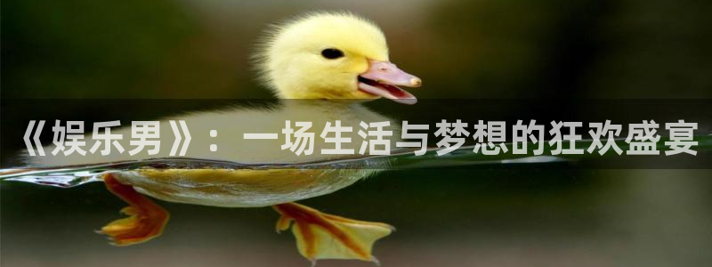 下载多多28.ccm.28官网版：《娱乐男》：一场生活与梦想的狂欢盛宴