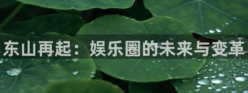 多多28.ccmpc平台下载链接：东山再起：娱乐圈的未来与变革