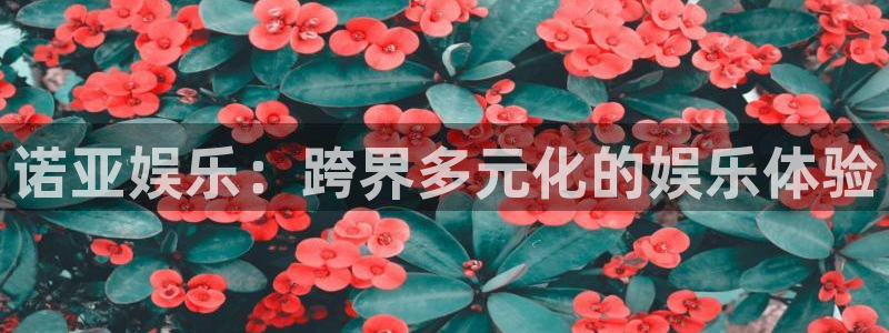 多多28·ccmapp下载：诺亚娱乐：跨界多元化的娱乐体验