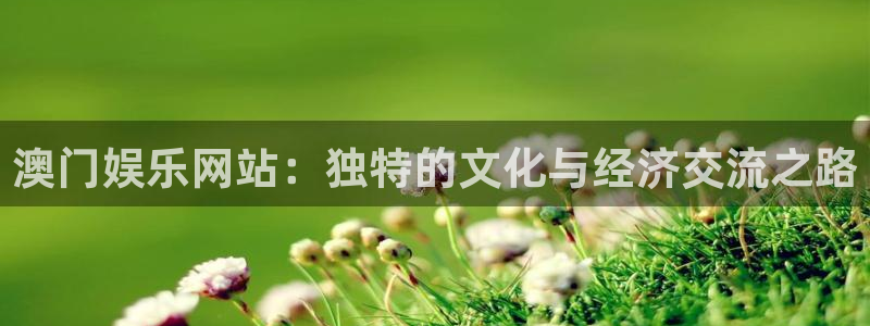 多多28pg平台下载：澳门娱乐网站：独特的文化与经济交流之路