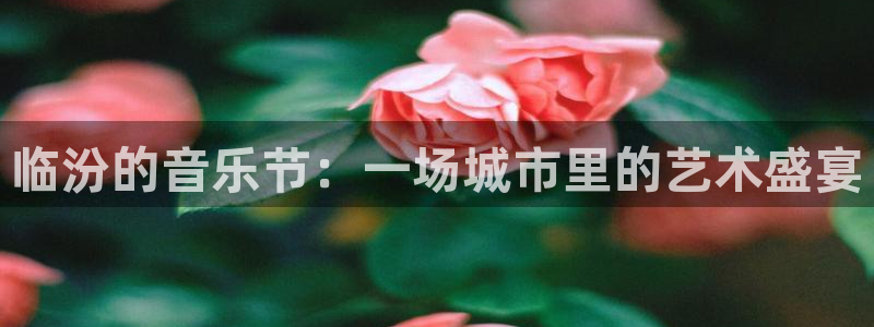 多多28下载安卓：临汾的音乐节：一场城市里的艺术盛宴