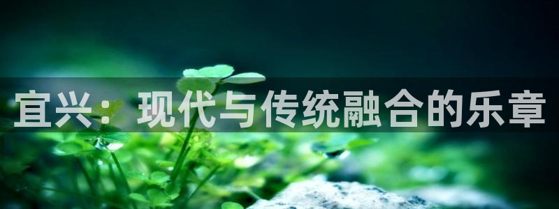 多多28g登录入口手机版：宜兴：现代与传统融合的乐章