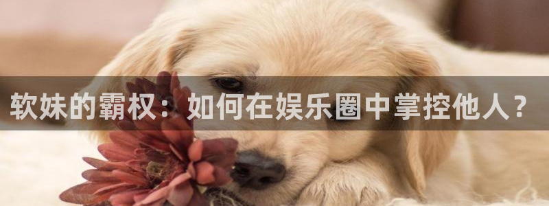 多多28链接：软妹的霸权：如何在娱乐圈中掌控他人？