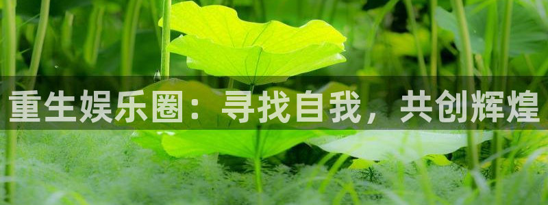 多多28ccm.下载：重生娱乐圈：寻找自我，共创辉煌