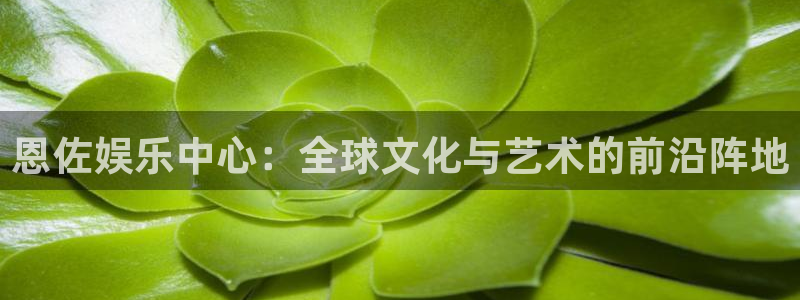 多多28软件的使用教程：恩佐娱乐中心：全球文化与艺术的前沿阵地
