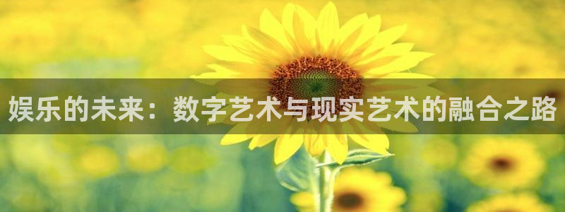 多多28平台官网入口下载：娱乐的未来：数字艺术与现实艺术的融合之路